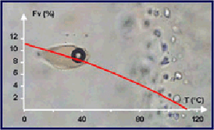 Estimation du chemin PT