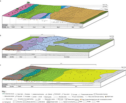 sédimentologie modèles dépôt