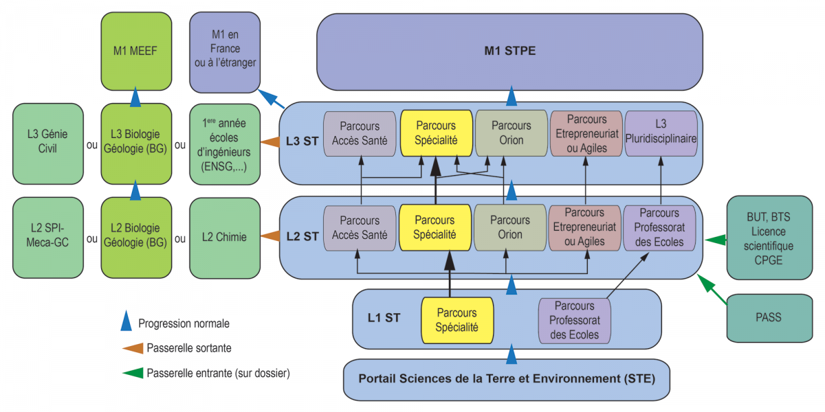 Licence Sciences de la terre schema